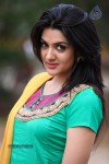 Sakshi Choudary Photos - 46 of 67