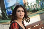 samantha-gallery