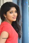 samyuktha-new-photos