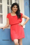 samyuktha-new-photos