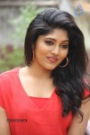 samyuktha-new-photos