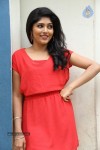 samyuktha-new-photos