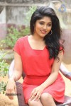 samyuktha-new-photos