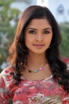 Sanchita Padukone Photos - 46 of 67