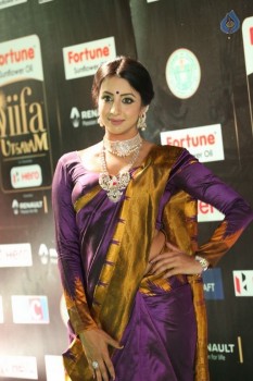 Sanjjanaa at IIFA 2017 - 17 of 41