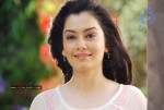 shambhavi-latest-stills