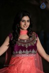 shamili-gallery