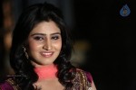 shamili-gallery