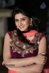 shamili-gallery