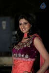 shamili-gallery