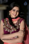 shamili-gallery