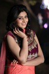 shamili-gallery