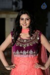 shamili-gallery