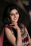 shamili-gallery