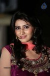 shamili-gallery