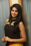 shamili-latest-photos