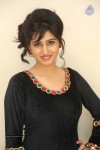 shamili-photos