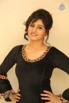 shamili-photos