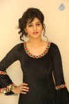 shamili-photos