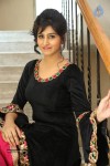 shamili-photos