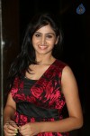 Shamili Photos - 31 of 59