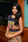 shamili-photos