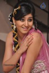 shamili-stills