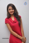 Shanvi Latest Photos - 31 of 85