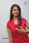 Shanvi Latest Photos - 68 of 85