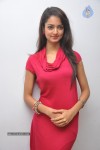 Shanvi Latest Photos - 71 of 85