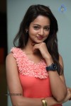 shanvi-new-photos