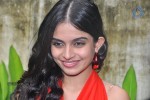 sheena-latest-stills