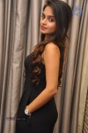 sheena-new-pics