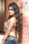 Sheena Shahabadi New Photos - 8 of 25