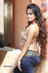 Sheena Shahabadi New Photos - 15 of 25