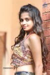 Sheena Shahabadi New Photos - 24 of 25