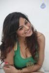 Shilpi Sharma Hot Gallery - 116 of 178
