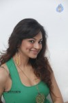 Shilpi Sharma Hot Gallery - 150 of 178