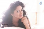 Shilpi Sharma New Portfolio - 3 of 45