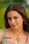 Shraddha Arya Stills - Kothimooka - 3 of 13