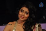 shreya-new-stills