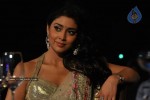 shreya-new-stills