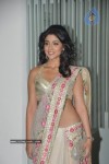 shreya-new-stills