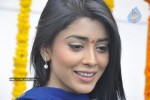 Shriya at SSC Production No. 3 Movie Launch - 10 of 45