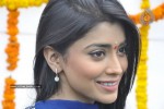 Shriya at SSC Production No. 3 Movie Launch - 14 of 45