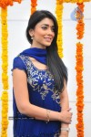 Shriya at SSC Production No. 3 Movie Launch - 20 of 45