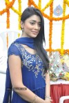 shriya-at-ssc-production-no-3-movie-launch