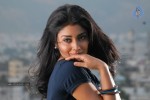 Shriya Hot Gallery - 39 of 75