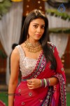 Shriya Hot Gallery - 34 of 75