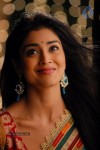 Shriya Hot Gallery - 36 of 75